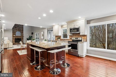 13423 BLACK GUM COURT CHANTILLY VA 20151