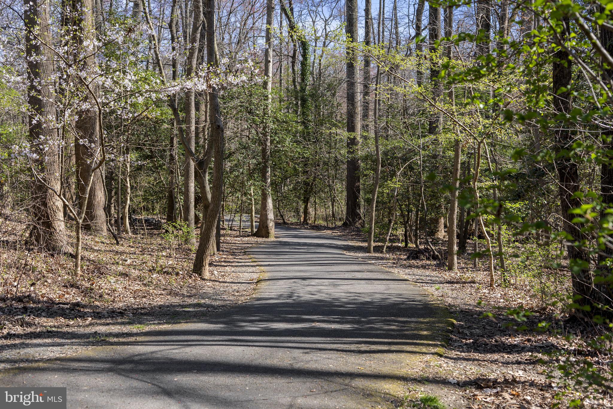 SHADOWOOD - Residential