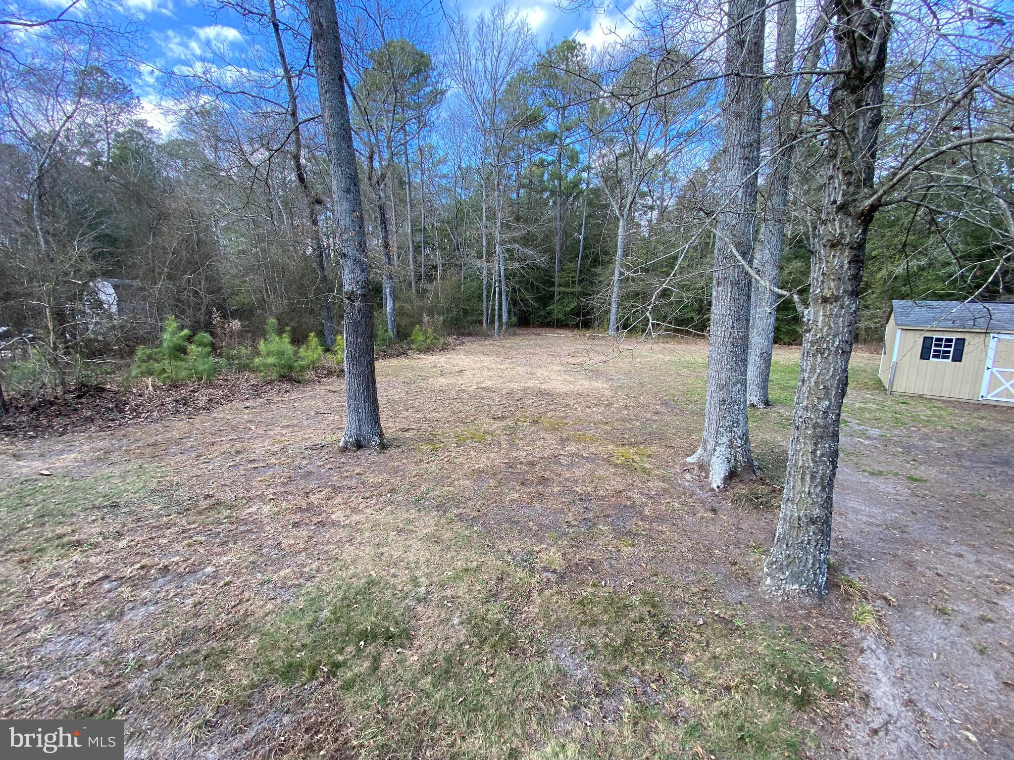 PINEY GROVE - Residential Lease