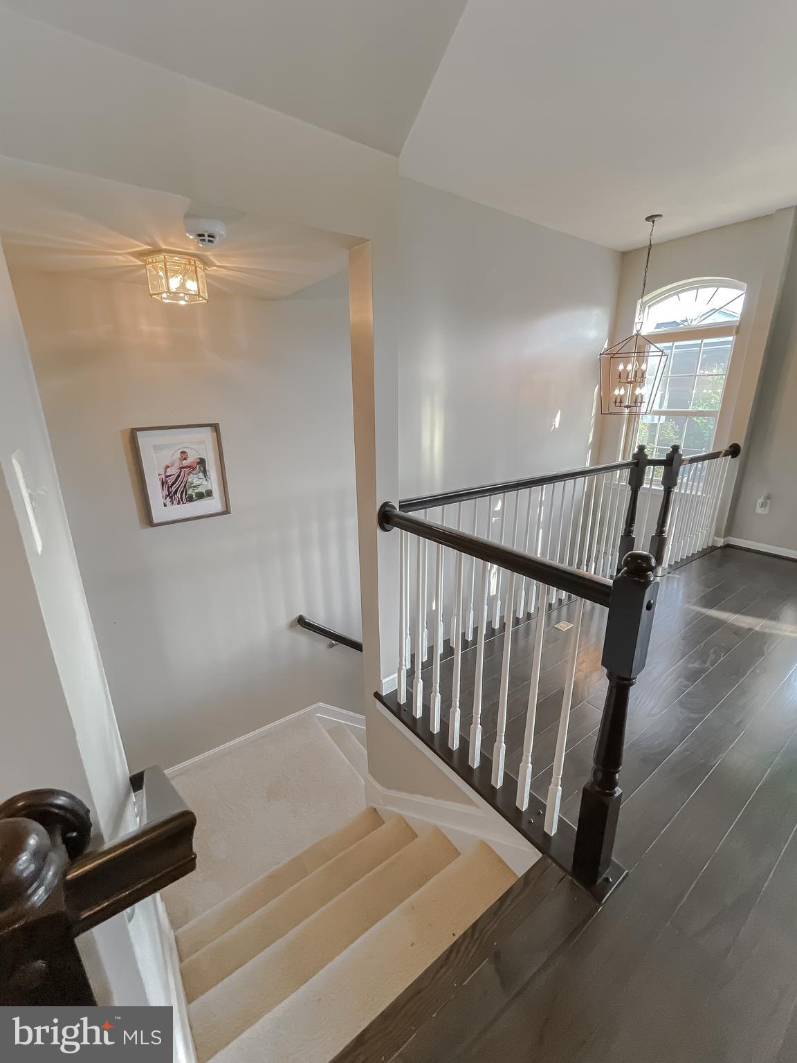 SHEFFIELD - Residential Lease