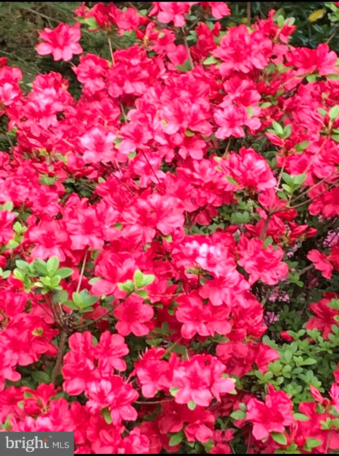 POOLESVILLE OUTSIDE - Residential