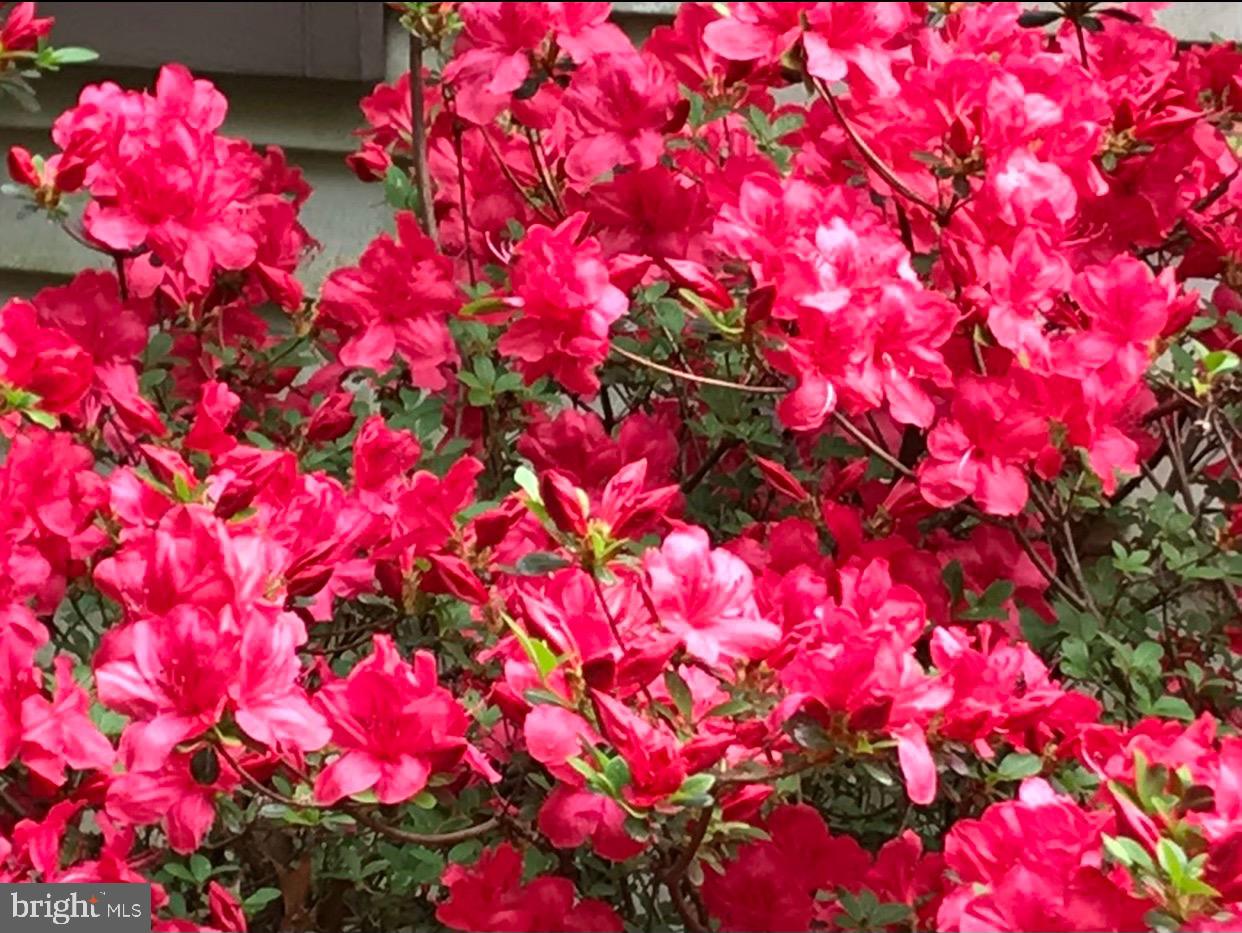 POOLESVILLE OUTSIDE - Residential