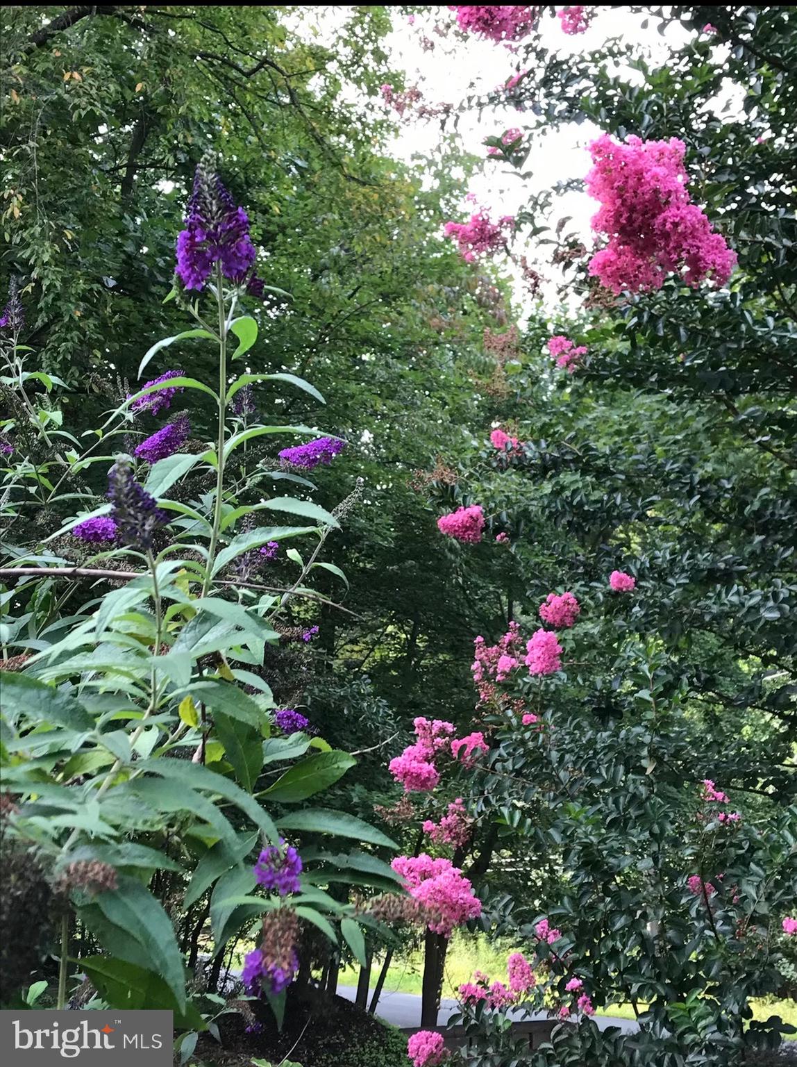 POOLESVILLE OUTSIDE - Residential