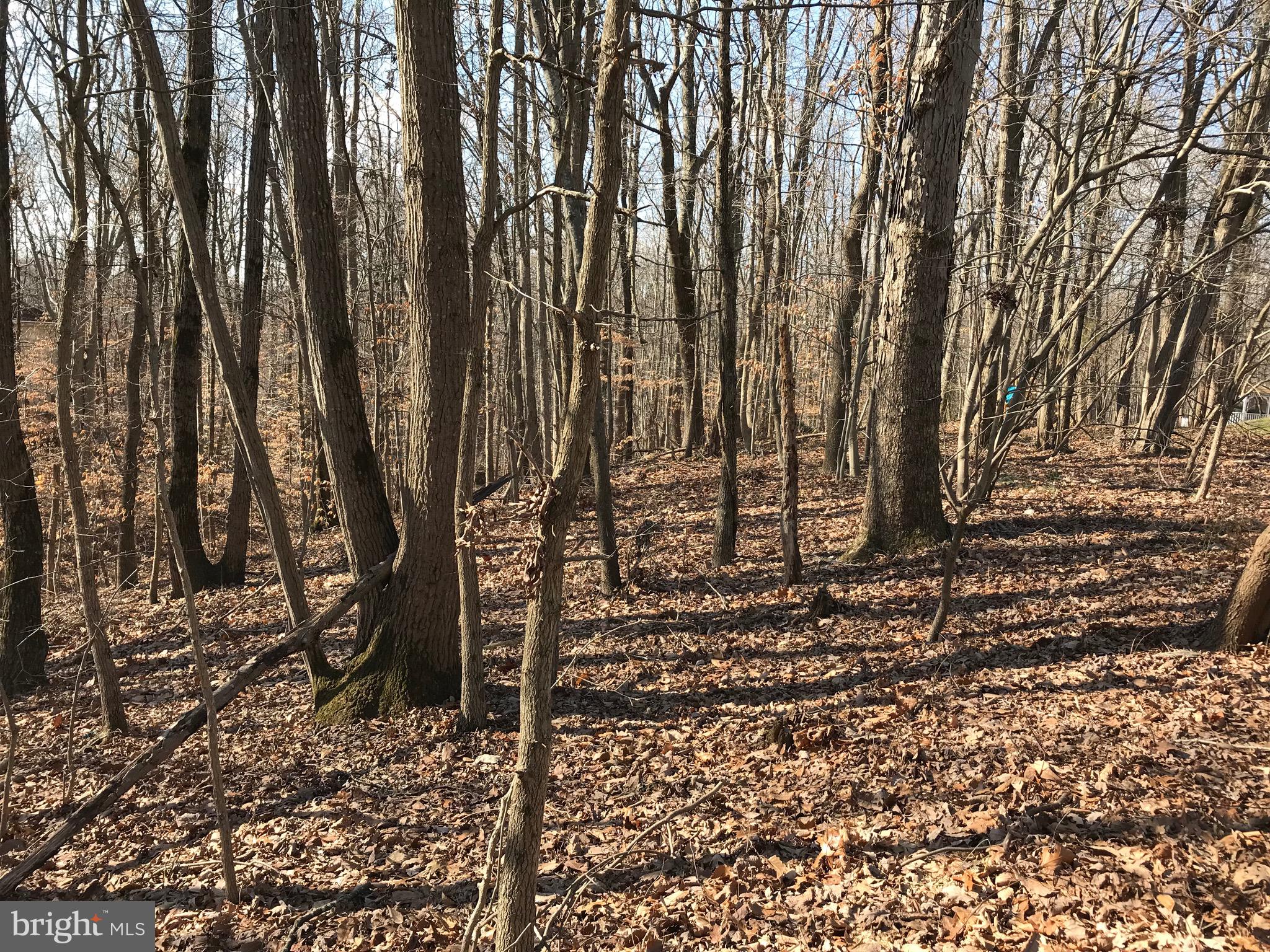 POOLESVILLE OUTSIDE - Residential