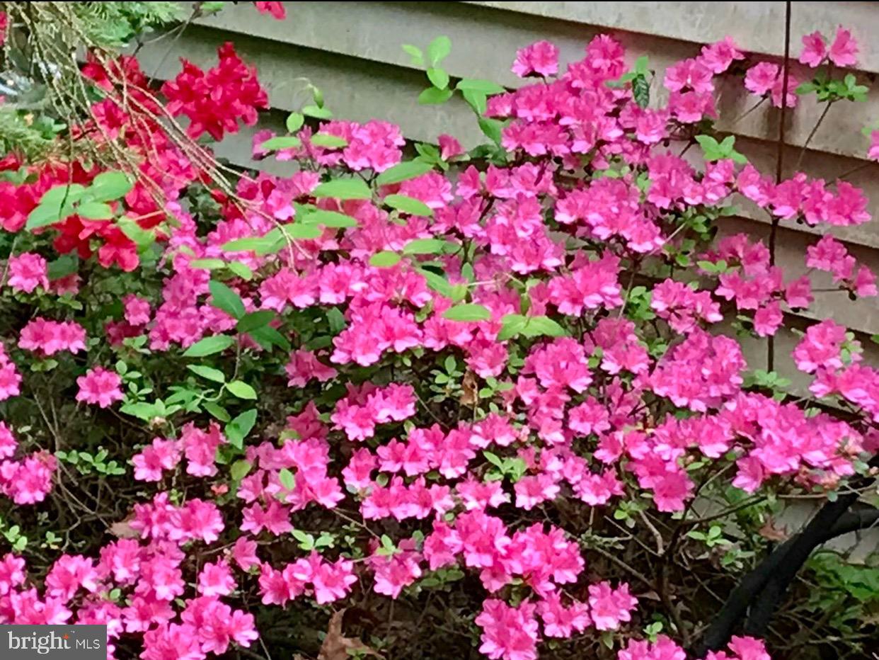 POOLESVILLE OUTSIDE - Residential