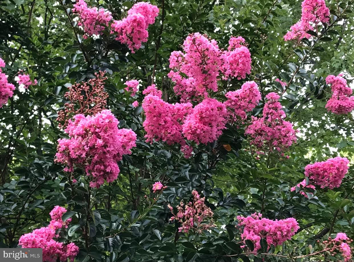 POOLESVILLE OUTSIDE - Residential