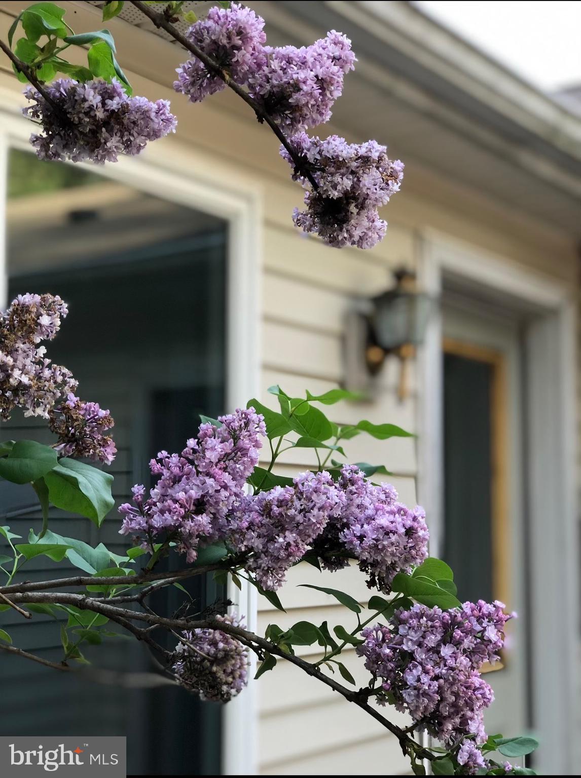 POOLESVILLE OUTSIDE - Residential