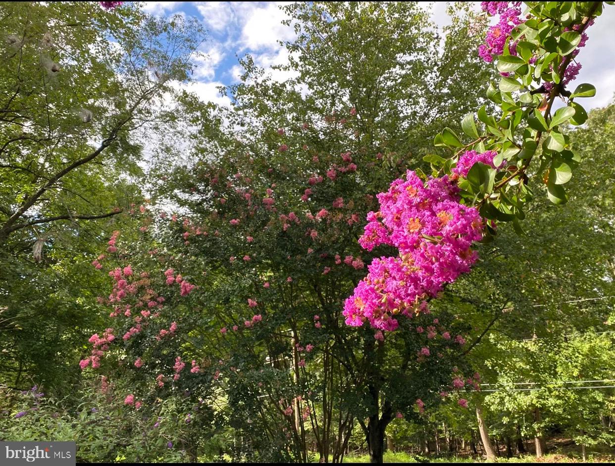 POOLESVILLE OUTSIDE - Residential