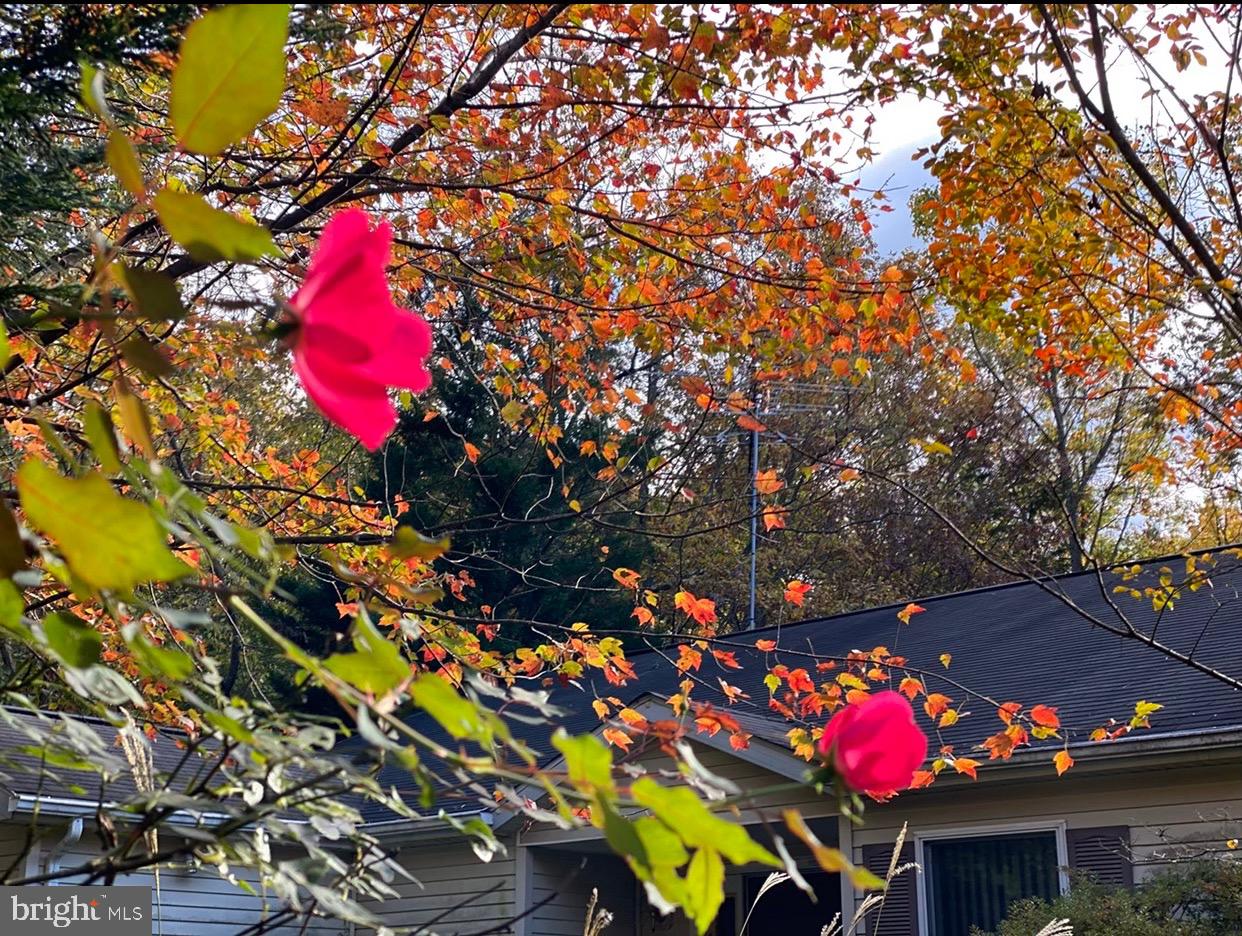 POOLESVILLE OUTSIDE - Residential