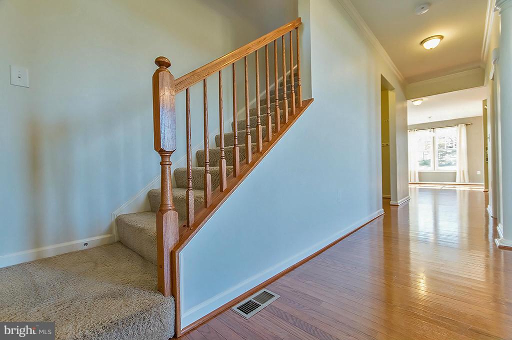 WEBBER SPRINGS - Residential