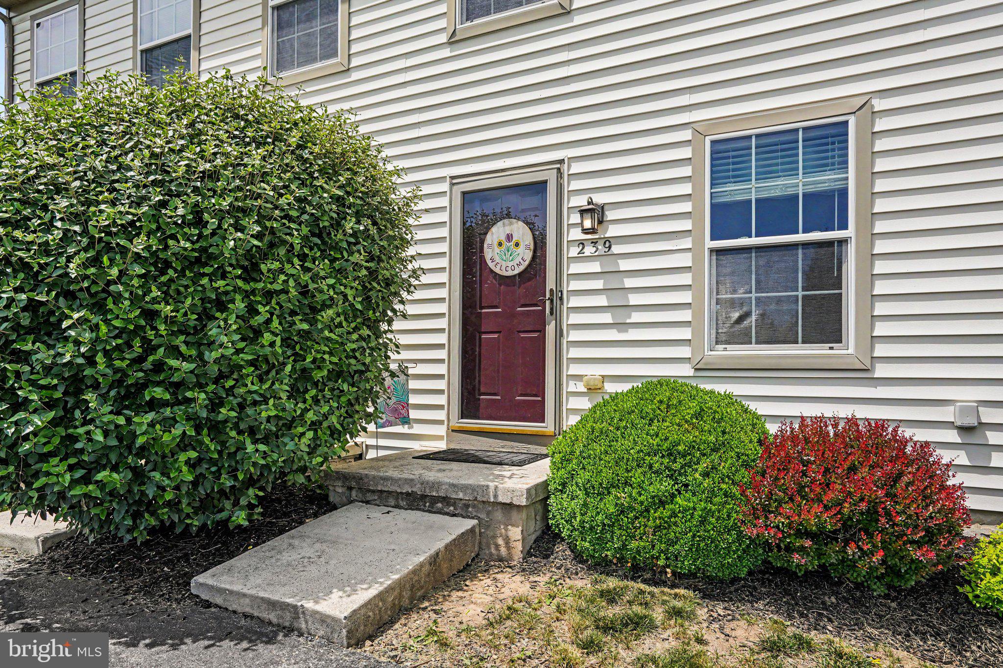 239 BUCKLEY DRIVE