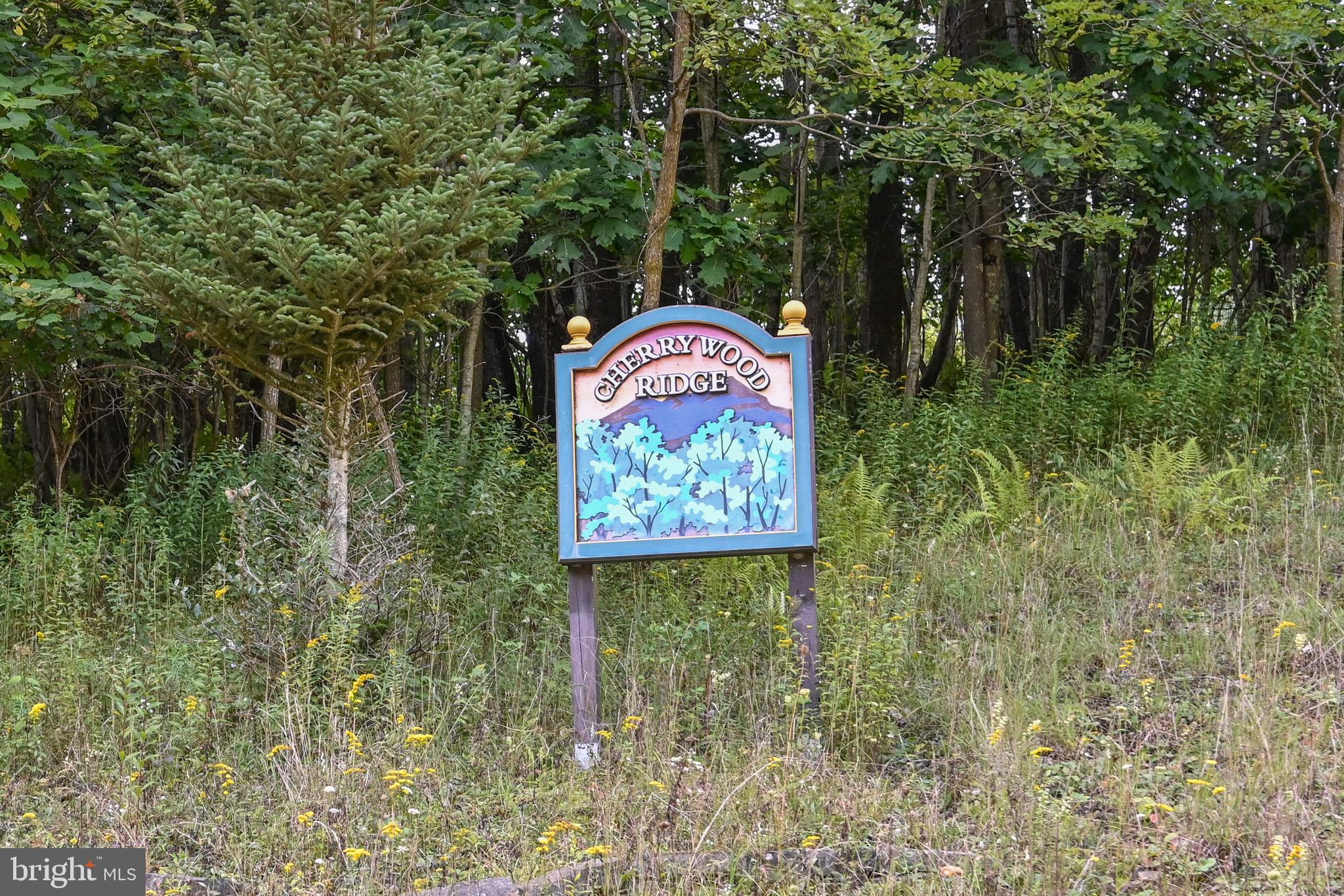 CHERRYWOOD RIDGE SUB - Land