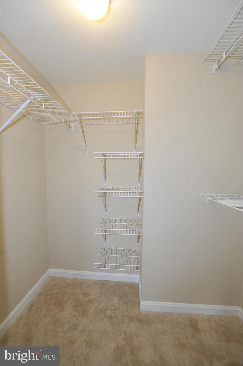 CARLYLE TOWERS - Residential Lease