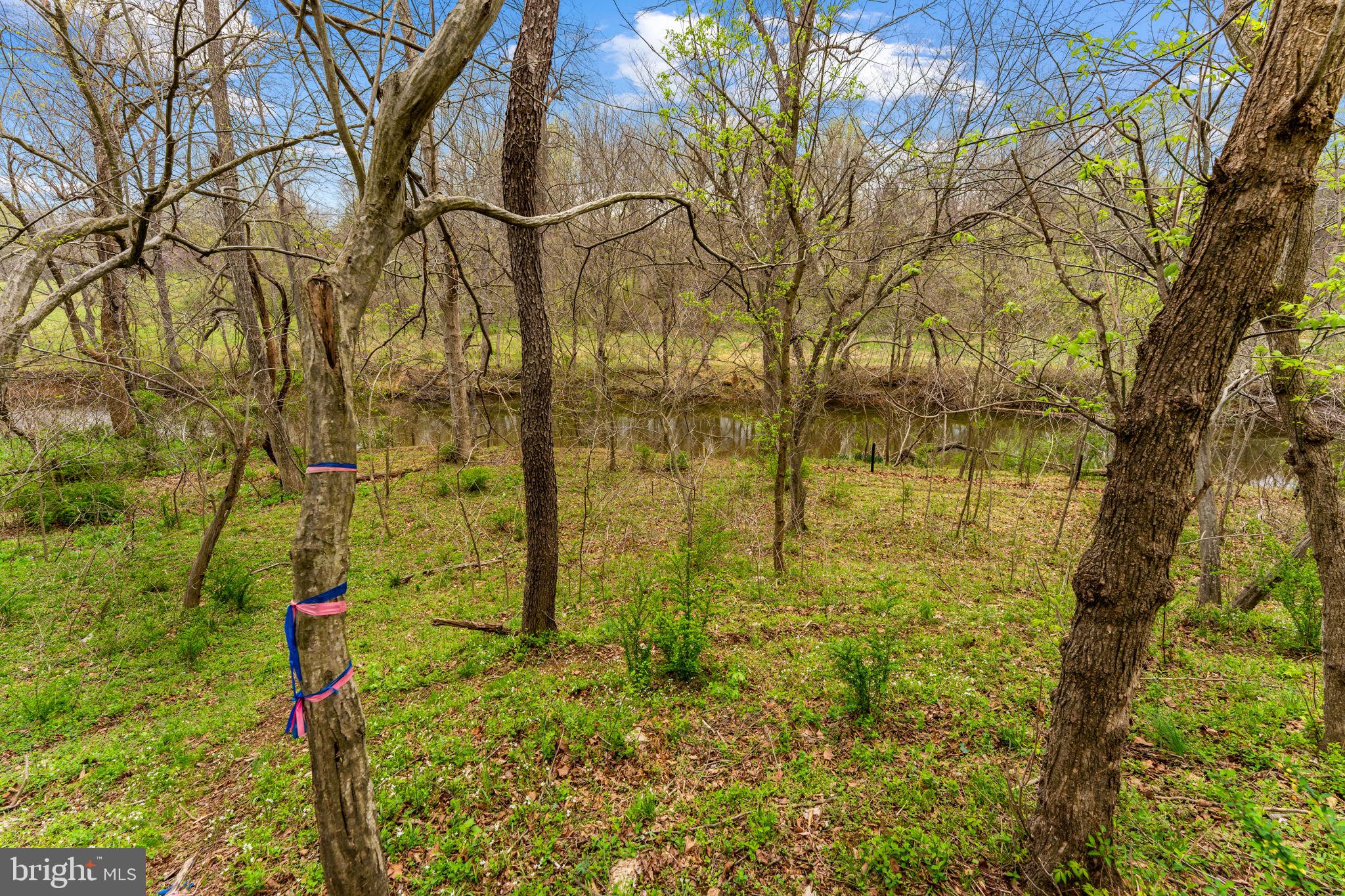 WATERFORD DOWNS - Residential