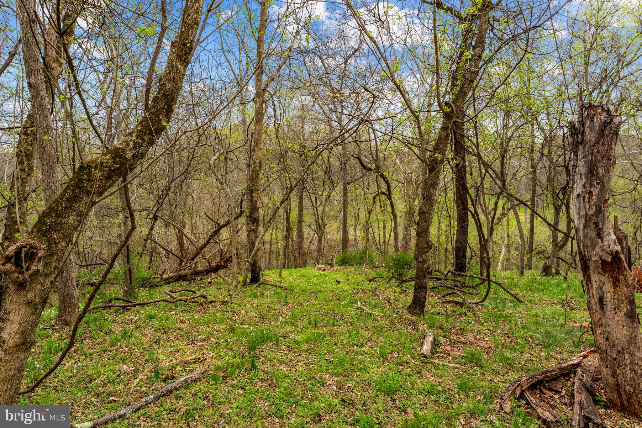 WATERFORD DOWNS - Residential