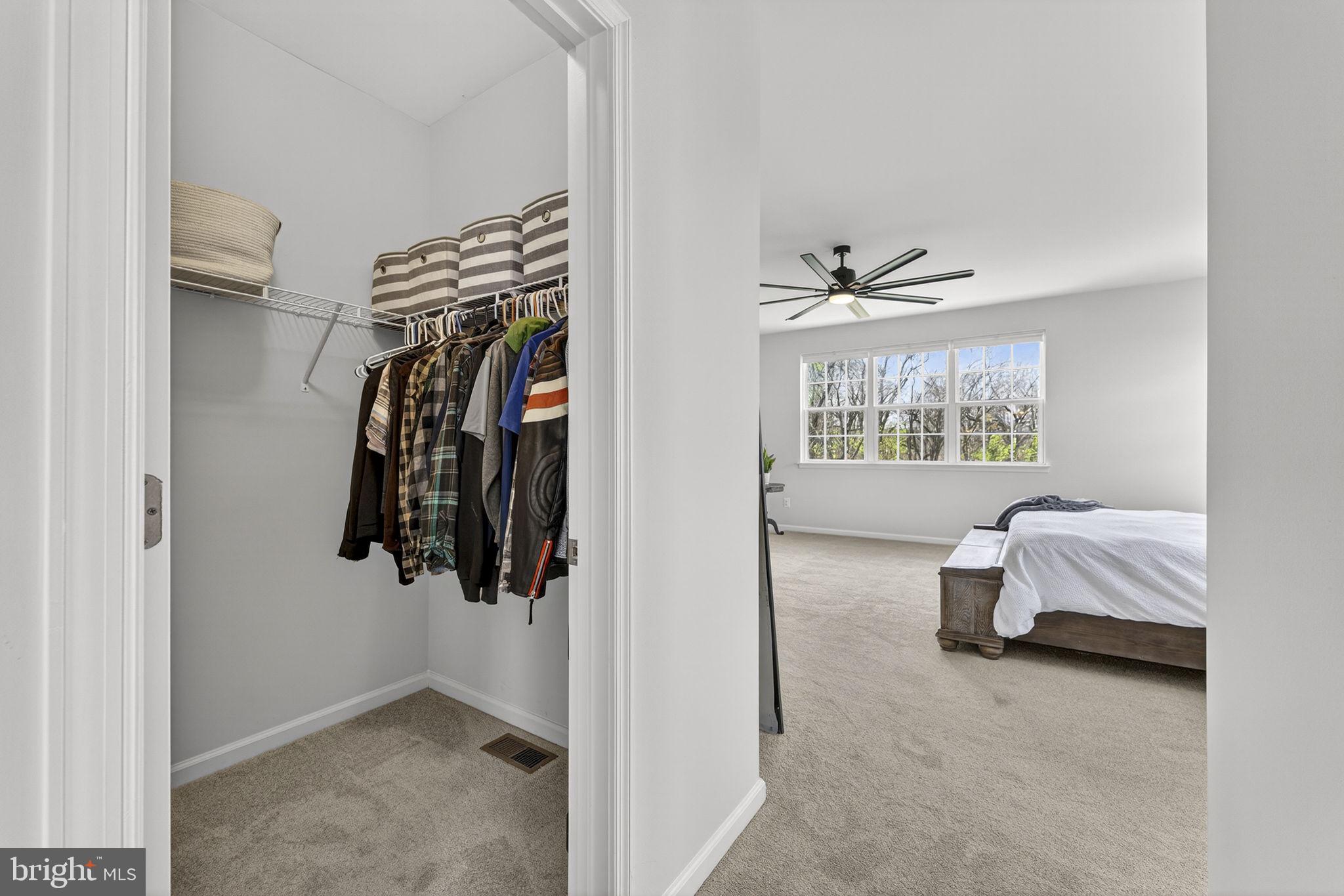 WATERFORD DOWNS - Residential