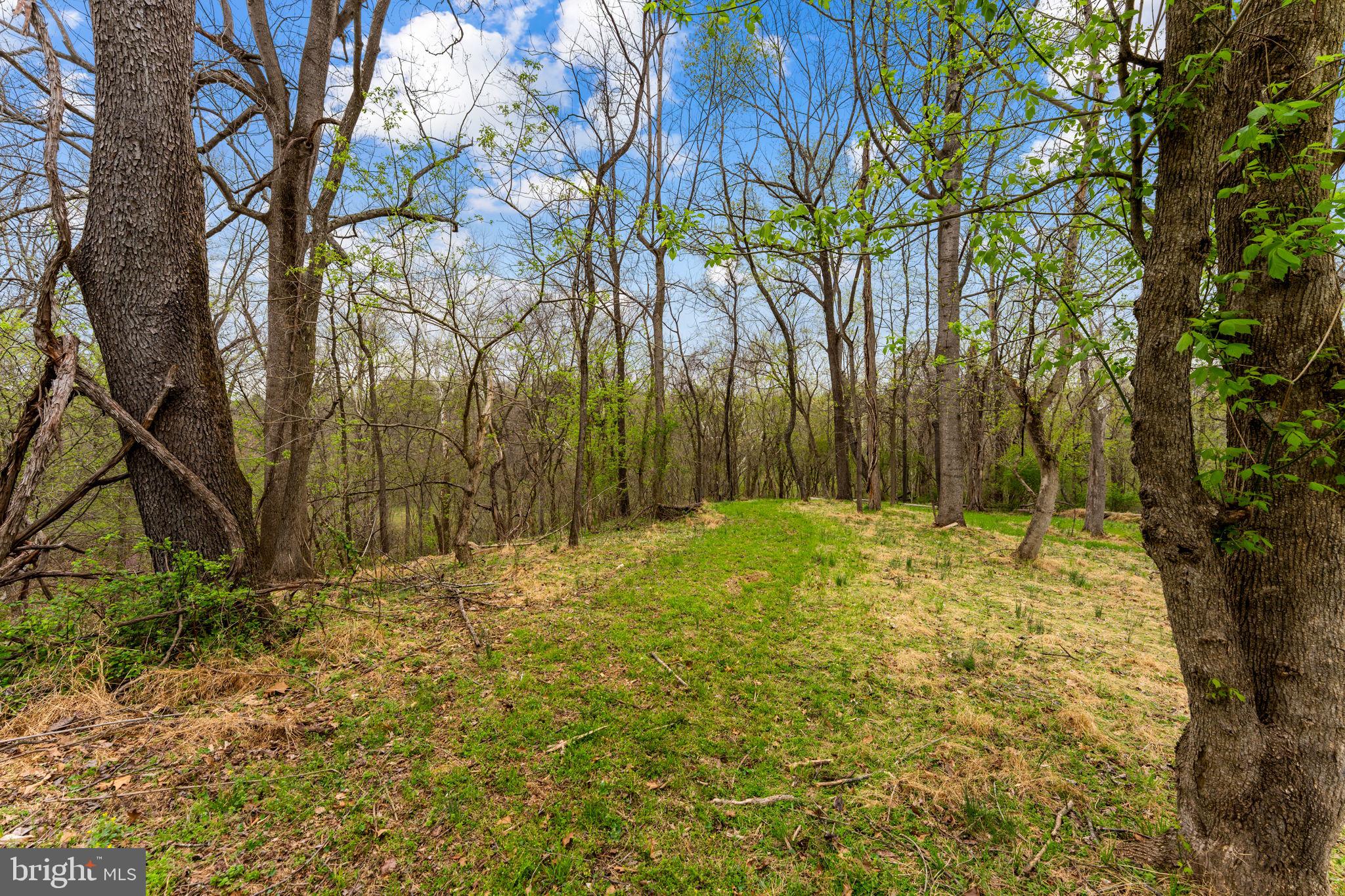 WATERFORD DOWNS - Residential