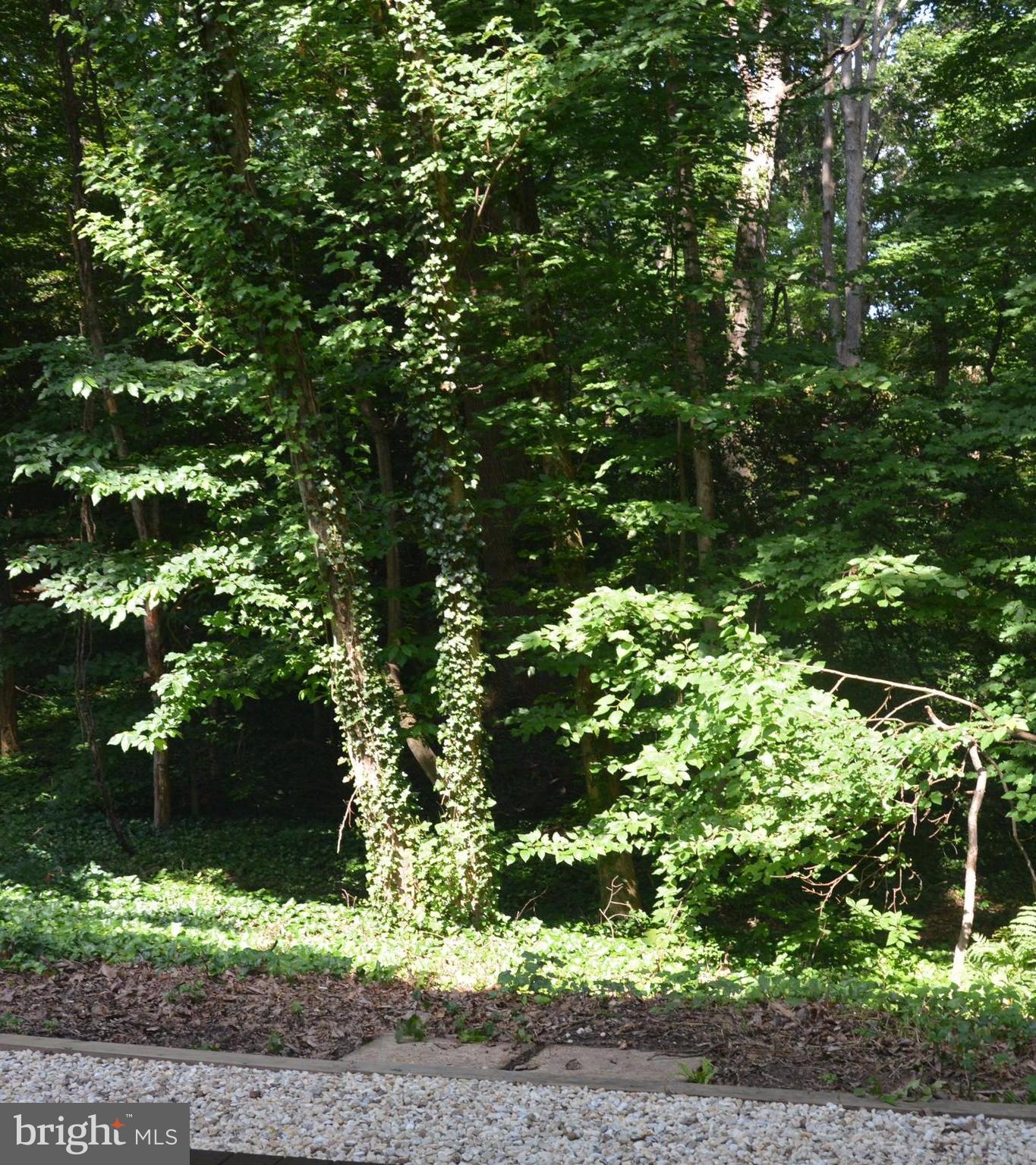 COMSTOCK - Residential Lease