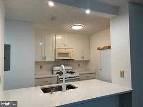 ASHBURN FARM - Residential