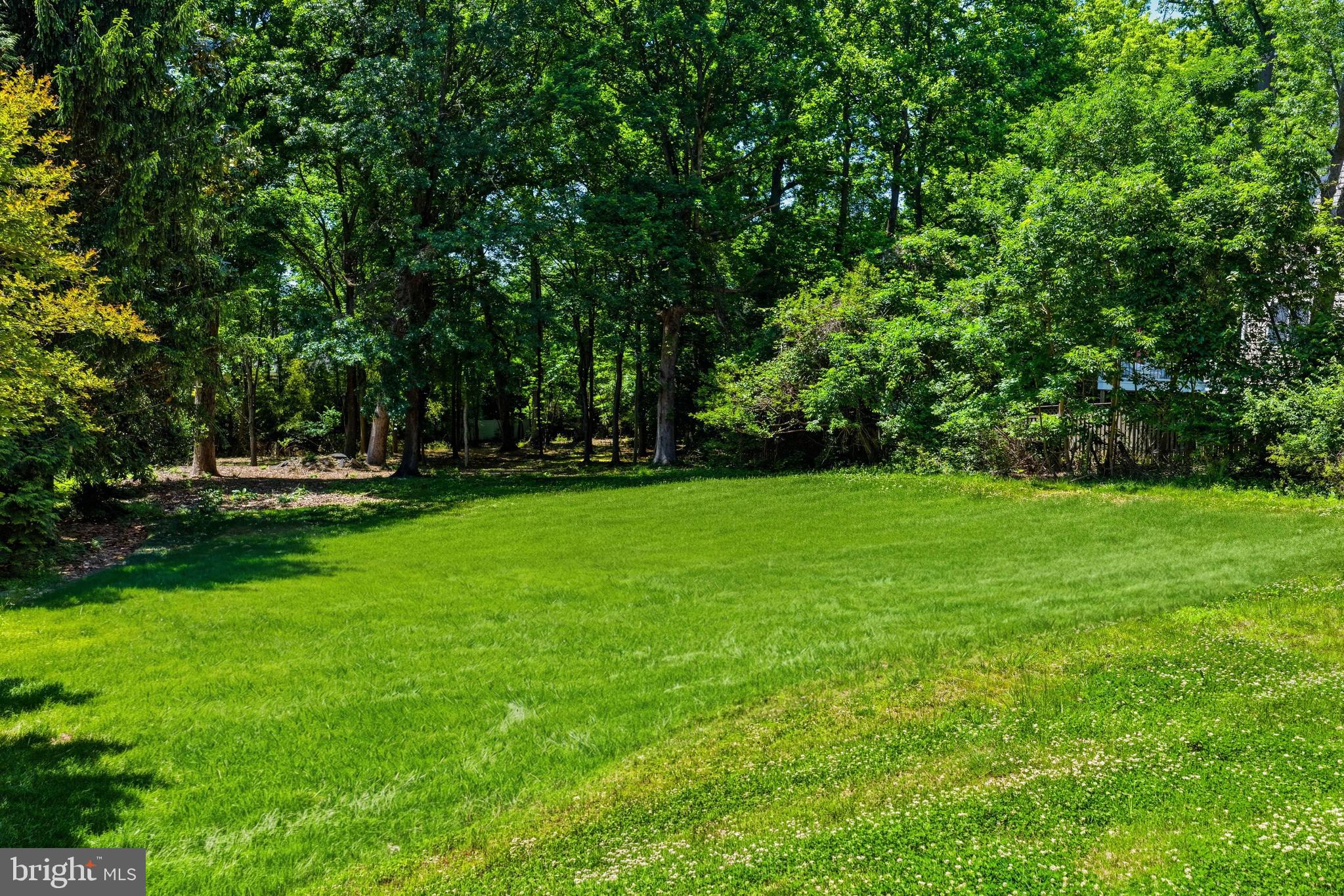 FRANKLIN PARK - Land
