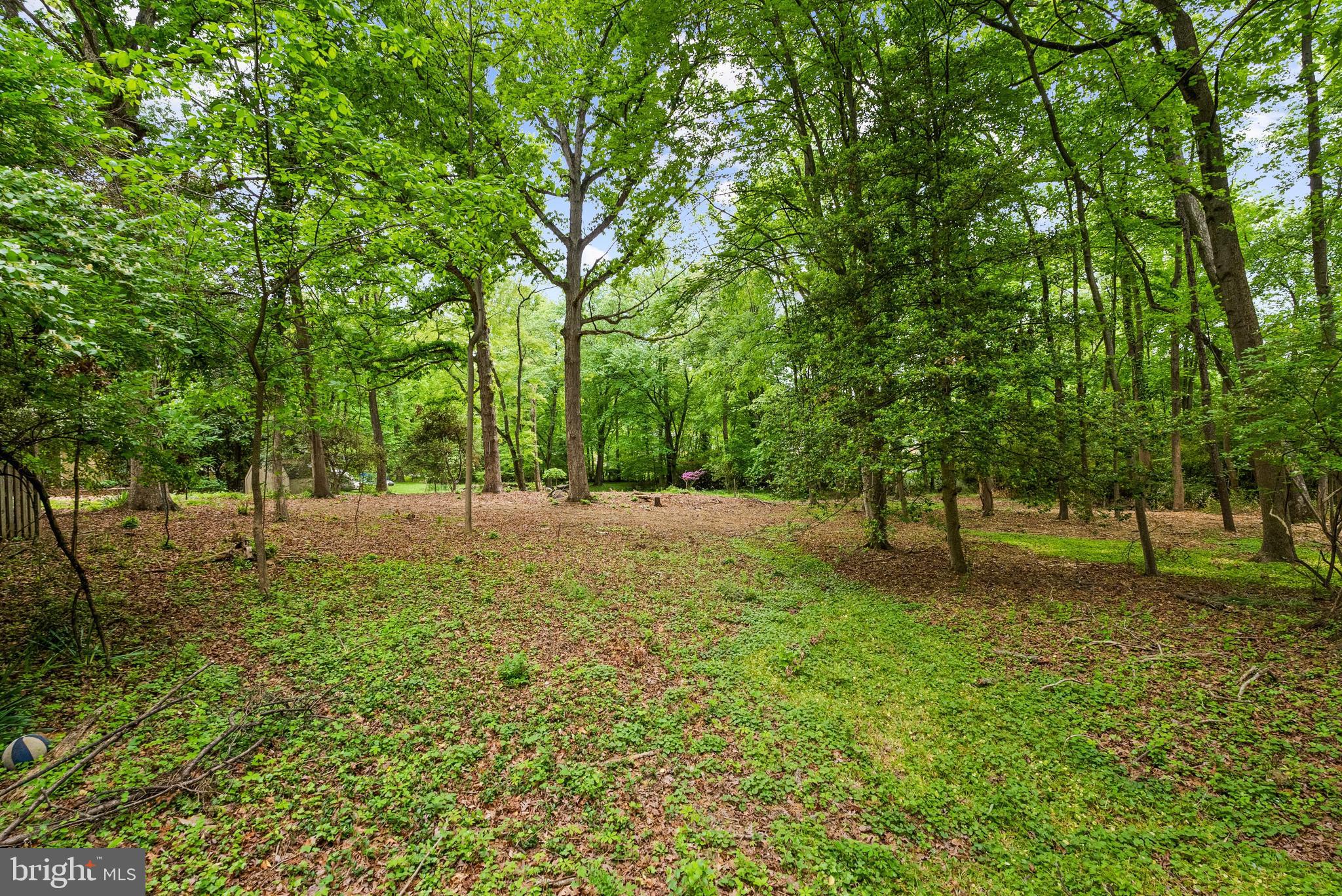FRANKLIN PARK - Land