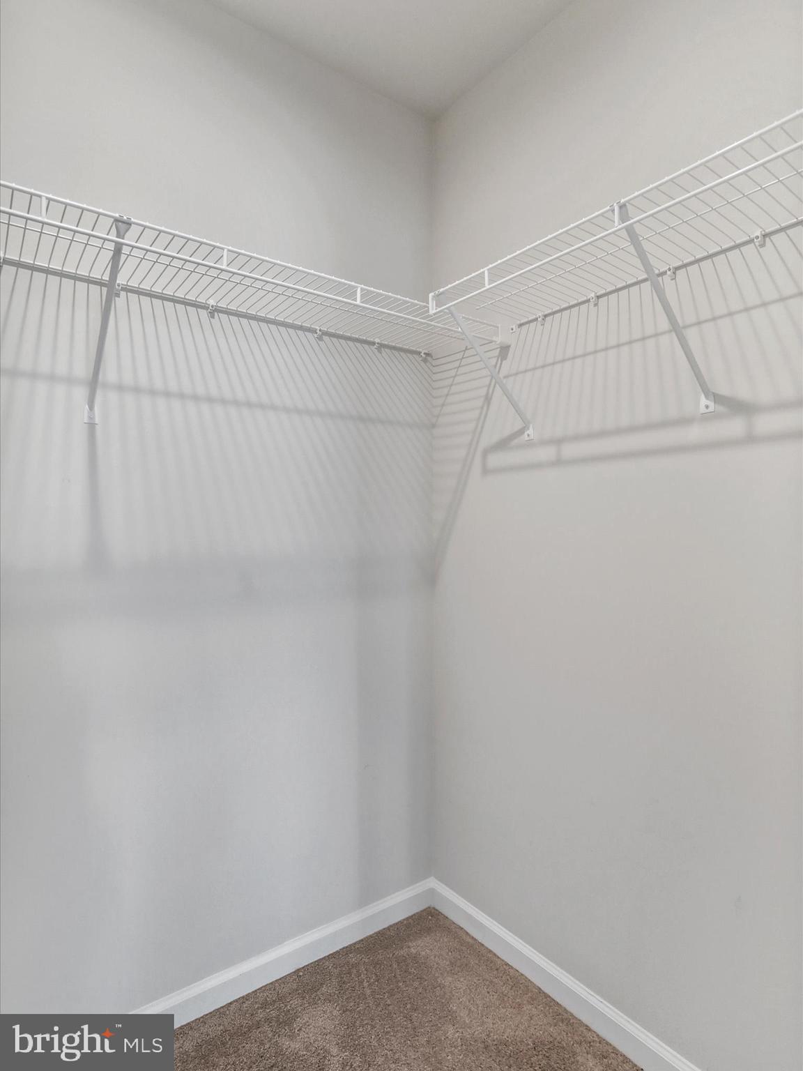 CARDINAL POINTE - Residential