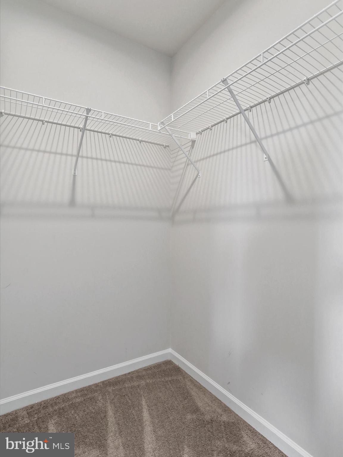 CARDINAL POINTE - Residential