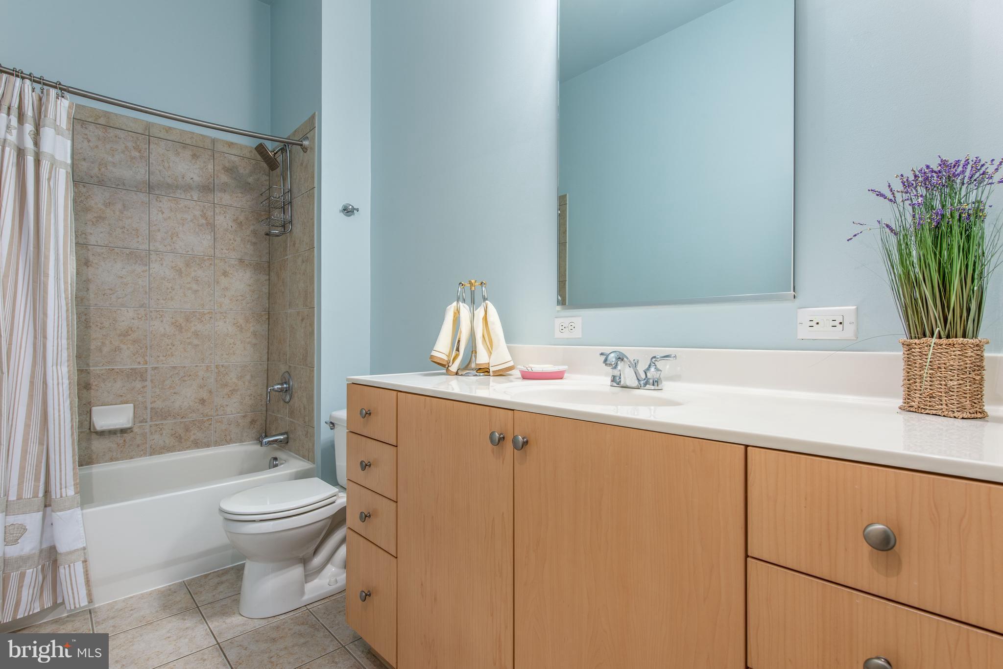 MOUNT VERNON PLACE HISTORIC DISTRICT - Residential