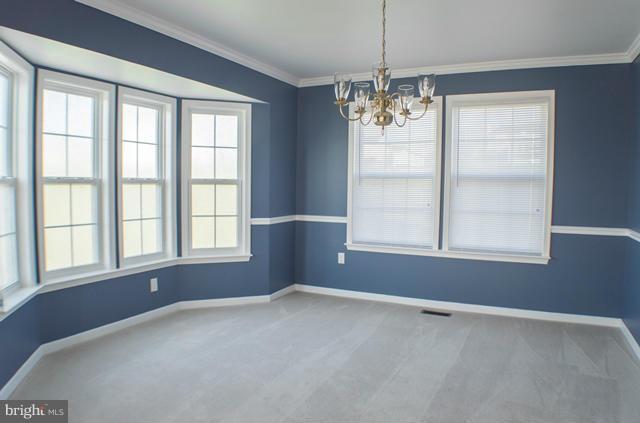 SPRUCE HILL ESTATES - Residential