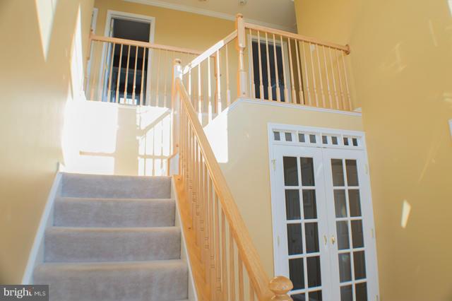 SPRUCE HILL ESTATES - Residential