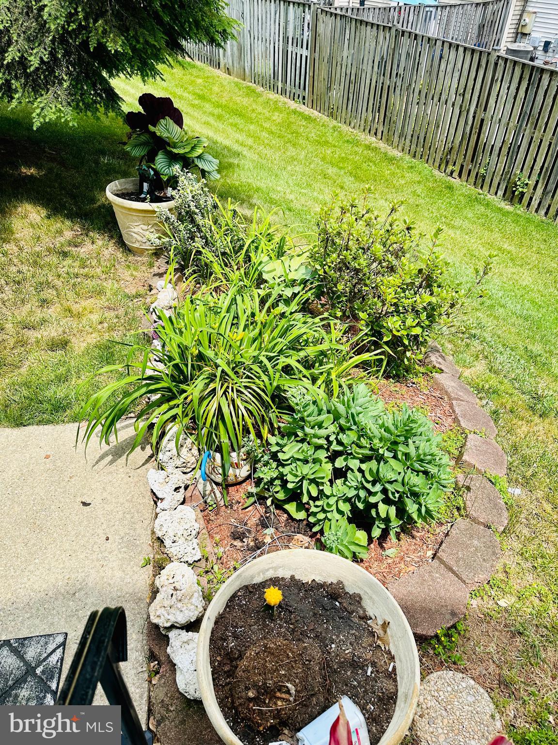 THE MEADOWS OF MANOR FARMS - Residential