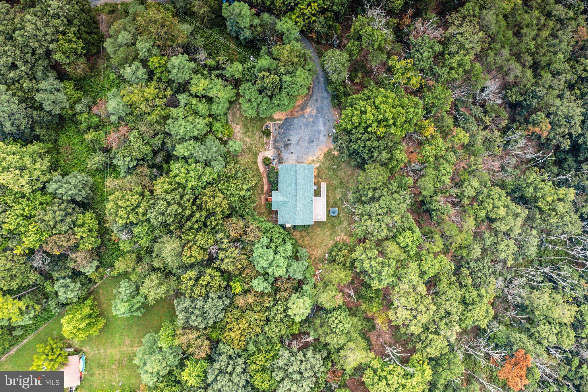 159 DEER HOLLOW LANE