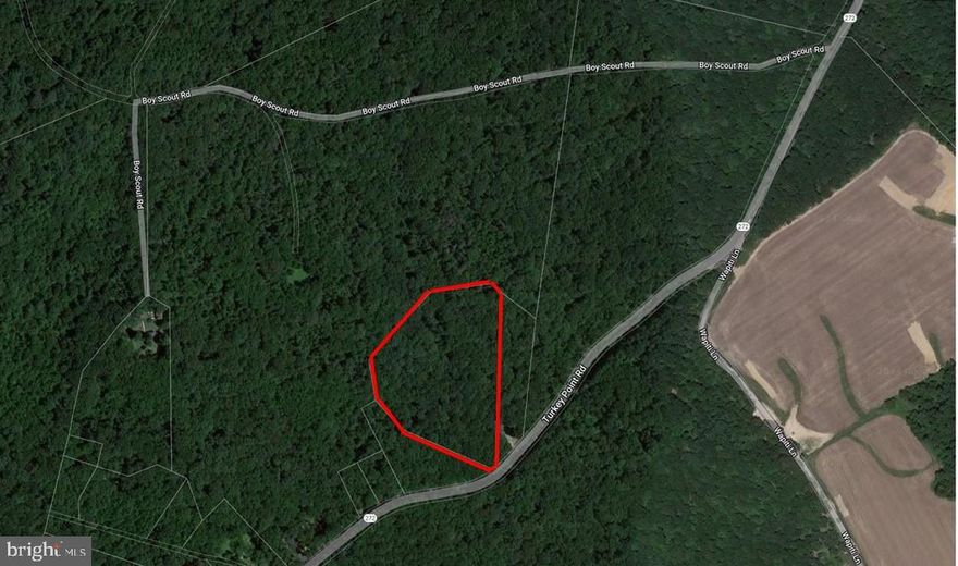 Wooded lot on turkey point road, driveway leading to clearing