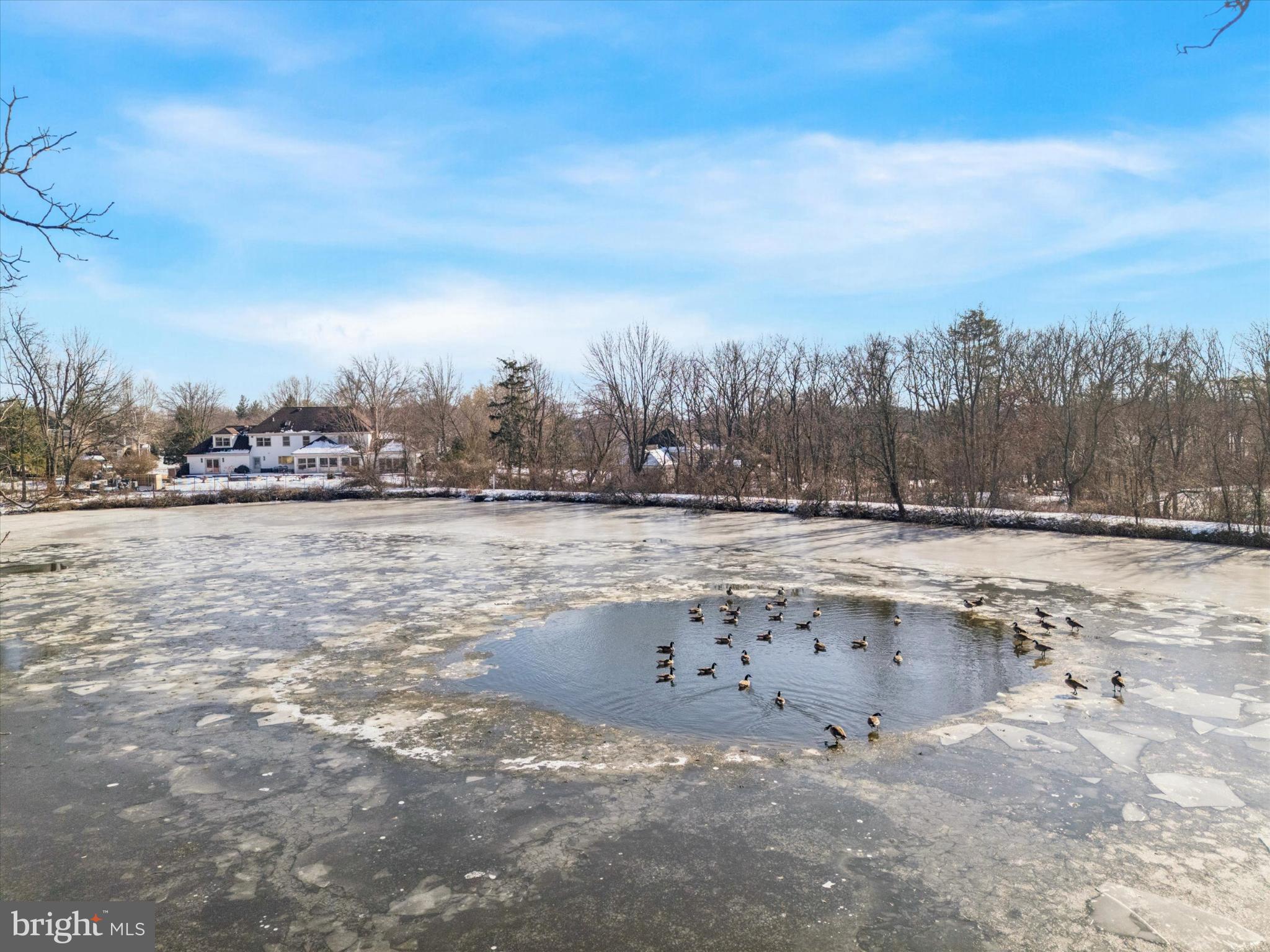 OXFORD OF BLUE BELL - Residential