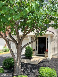 25388 PEACEFUL TERRACE