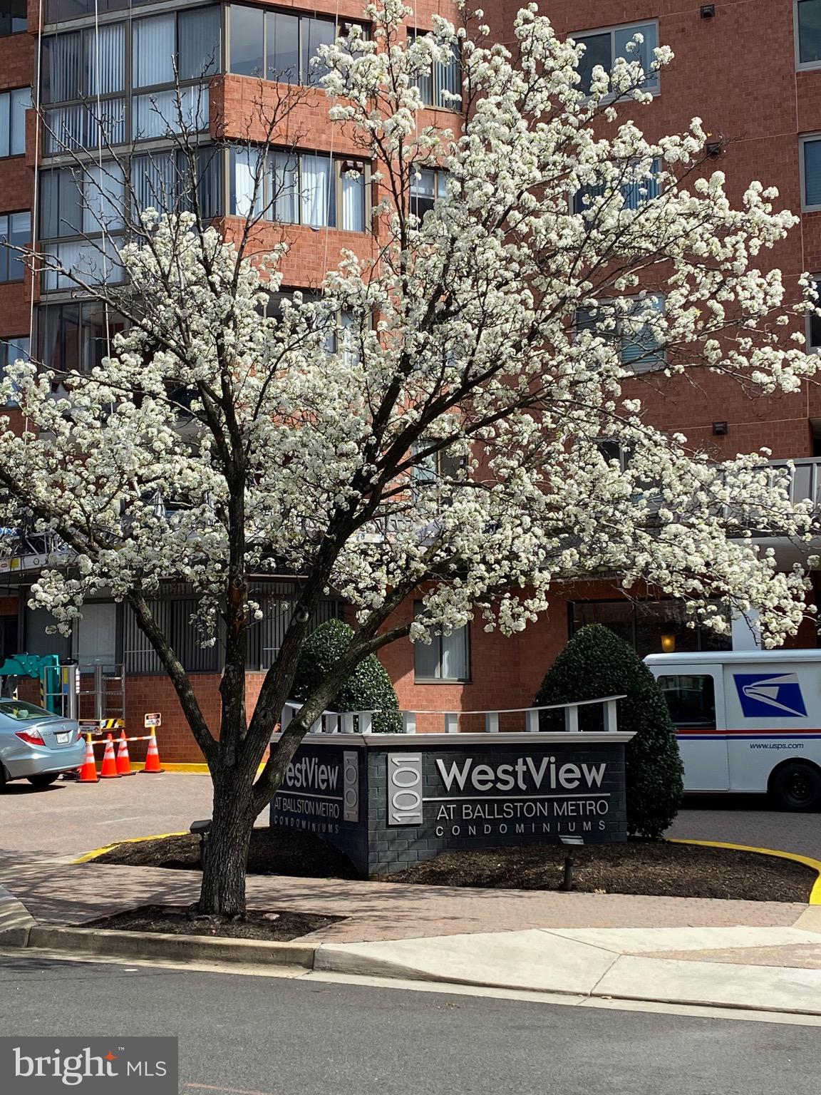 BALLSTON - Residential Lease