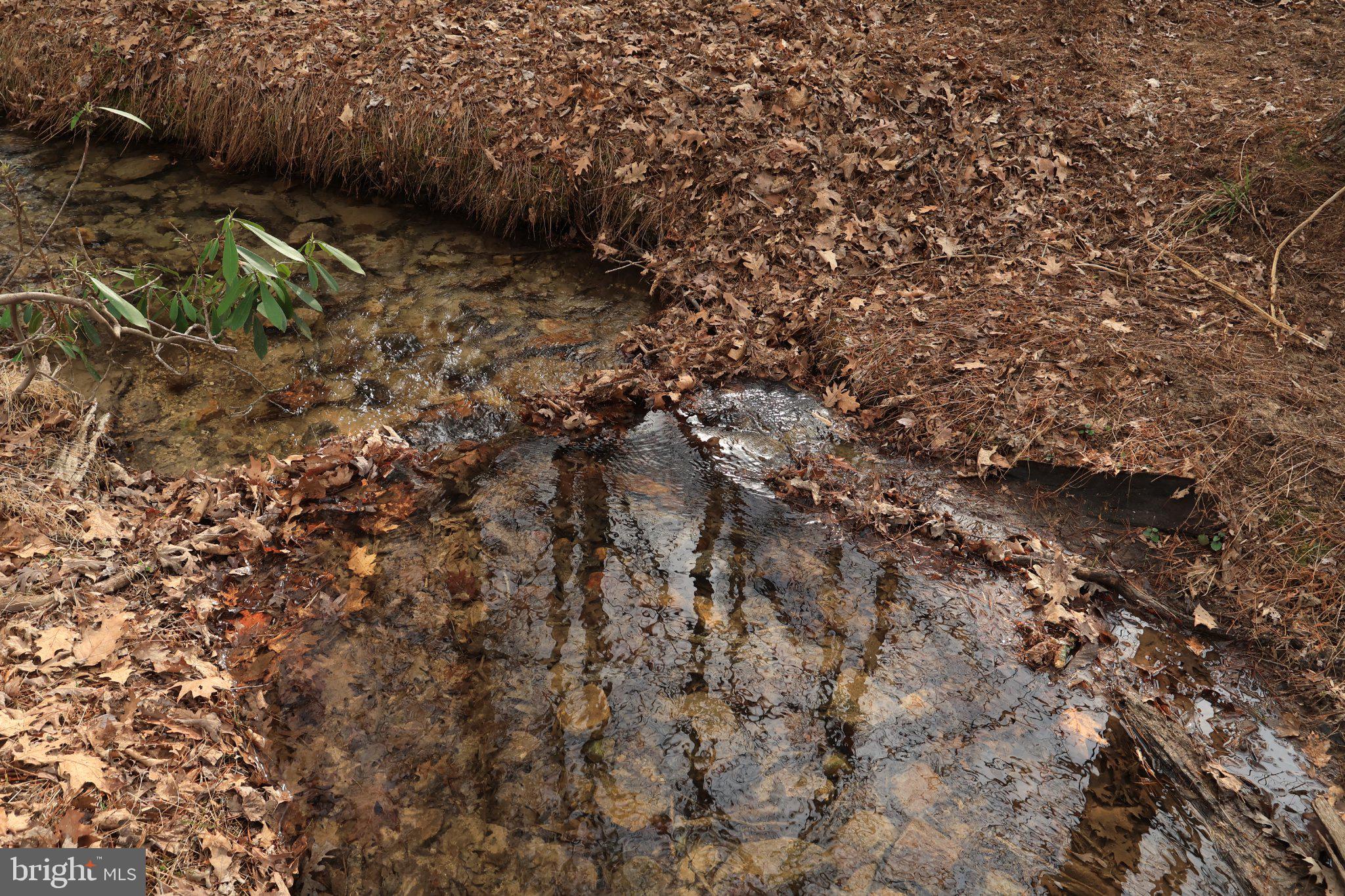 ROTHROCK STATE FOREST - Residential