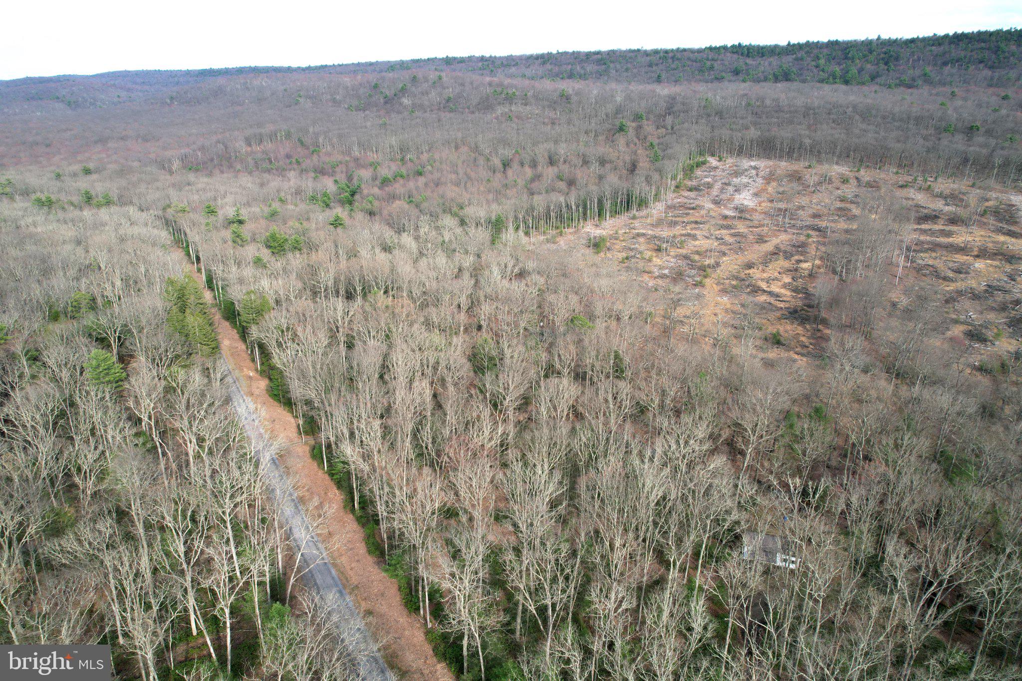 ROTHROCK STATE FOREST - Residential
