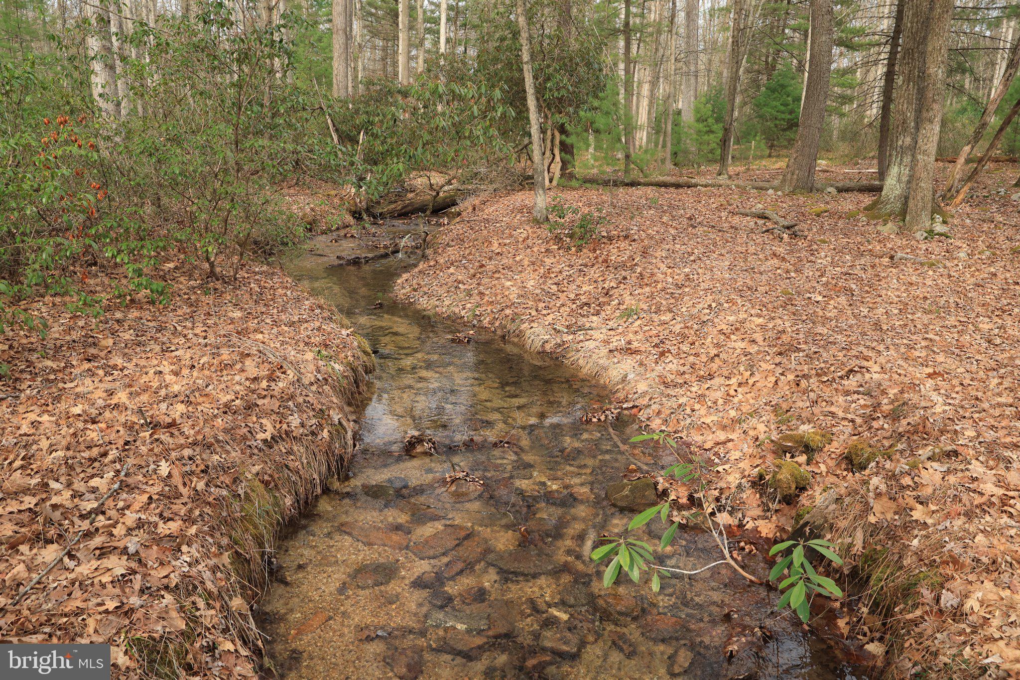 ROTHROCK STATE FOREST - Residential