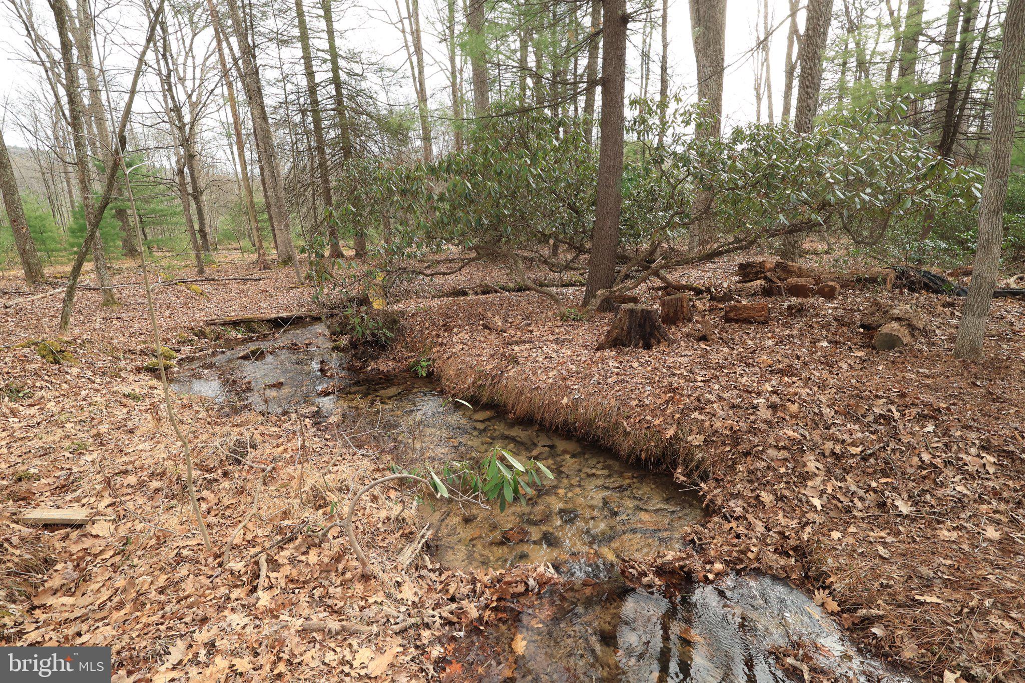 ROTHROCK STATE FOREST - Residential