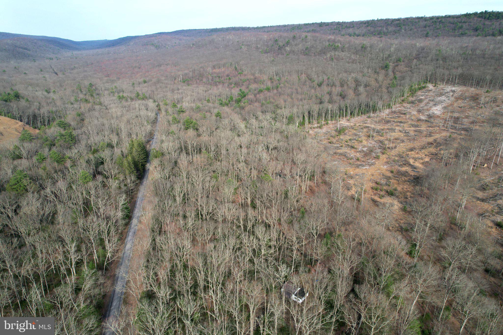 ROTHROCK STATE FOREST - Residential