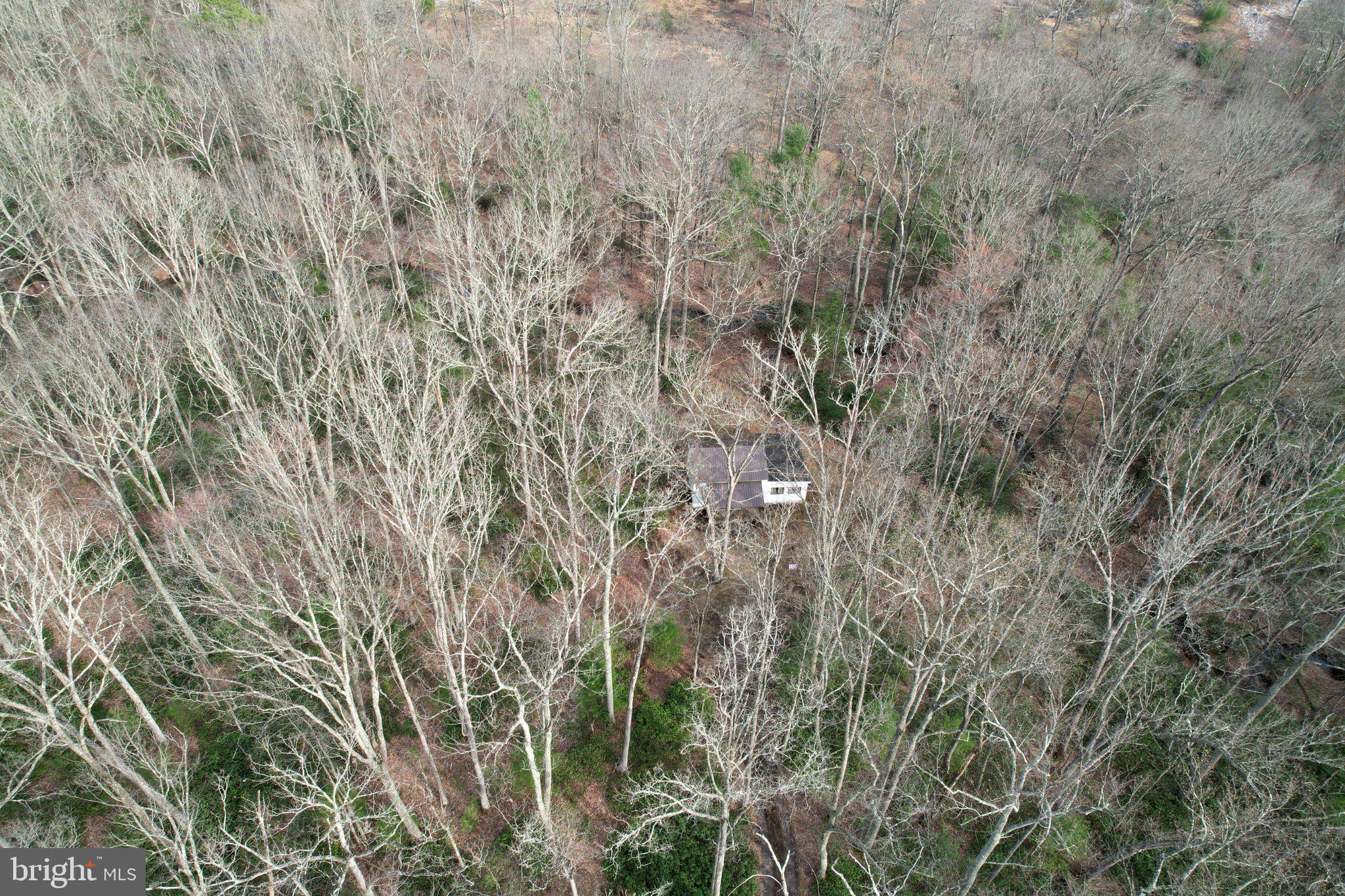 ROTHROCK STATE FOREST - Residential