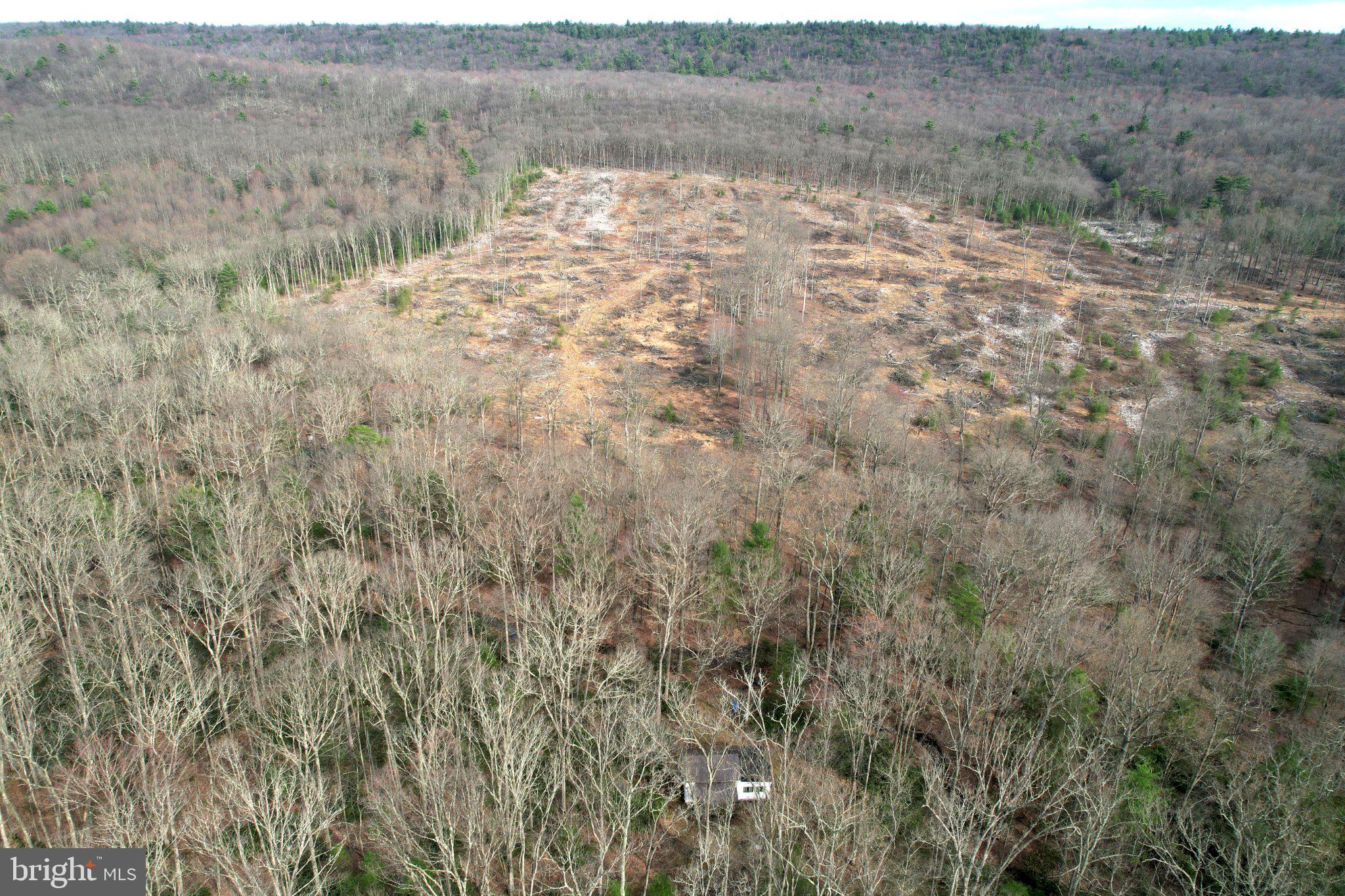ROTHROCK STATE FOREST - Residential