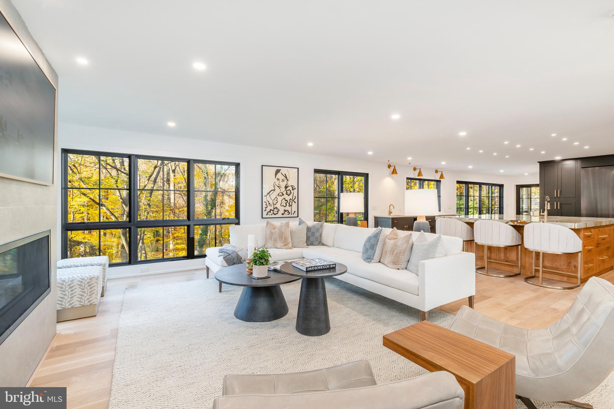 CHESTNUT HILL - Residential