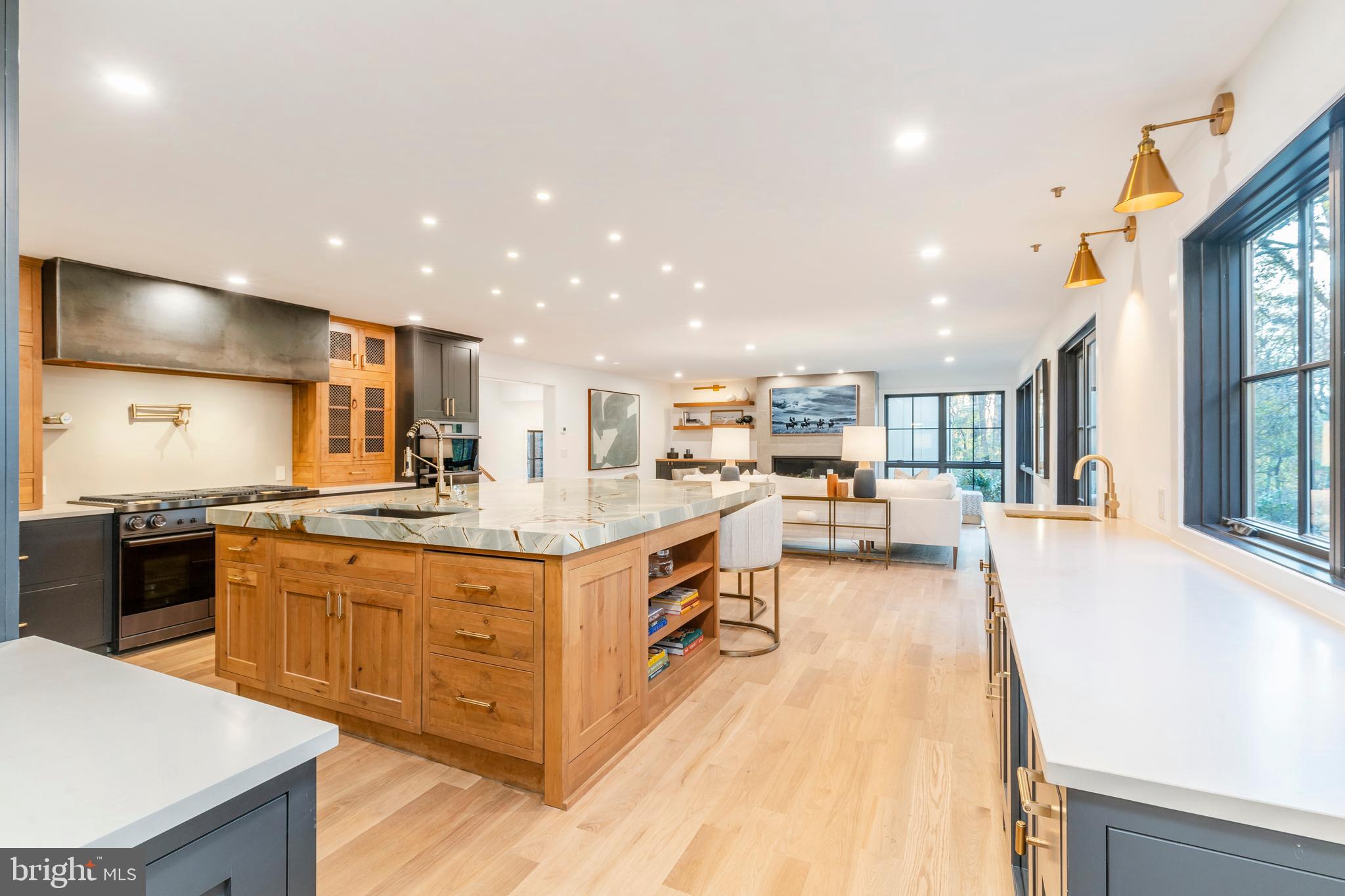 CHESTNUT HILL - Residential