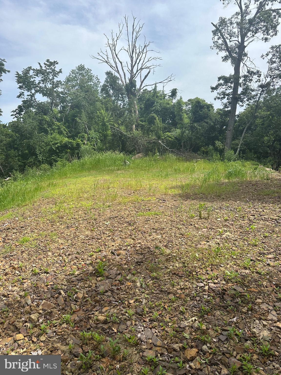 POTOMAC VALLEY VISTA - Land