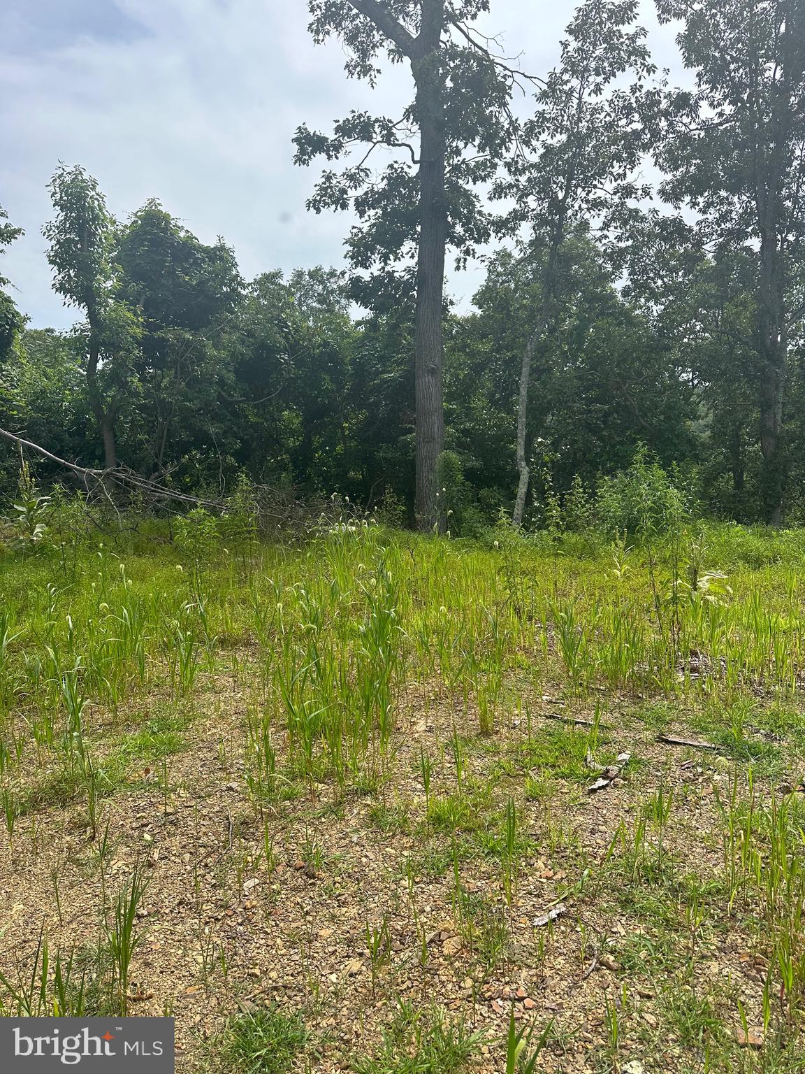 POTOMAC VALLEY VISTA - Land