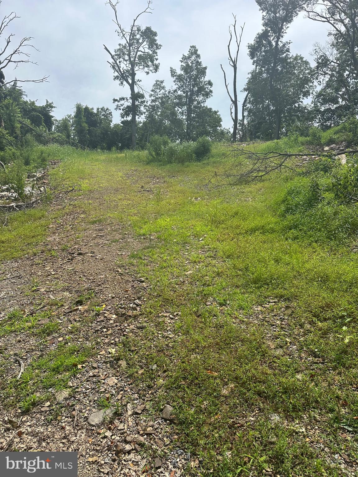 POTOMAC VALLEY VISTA - Land