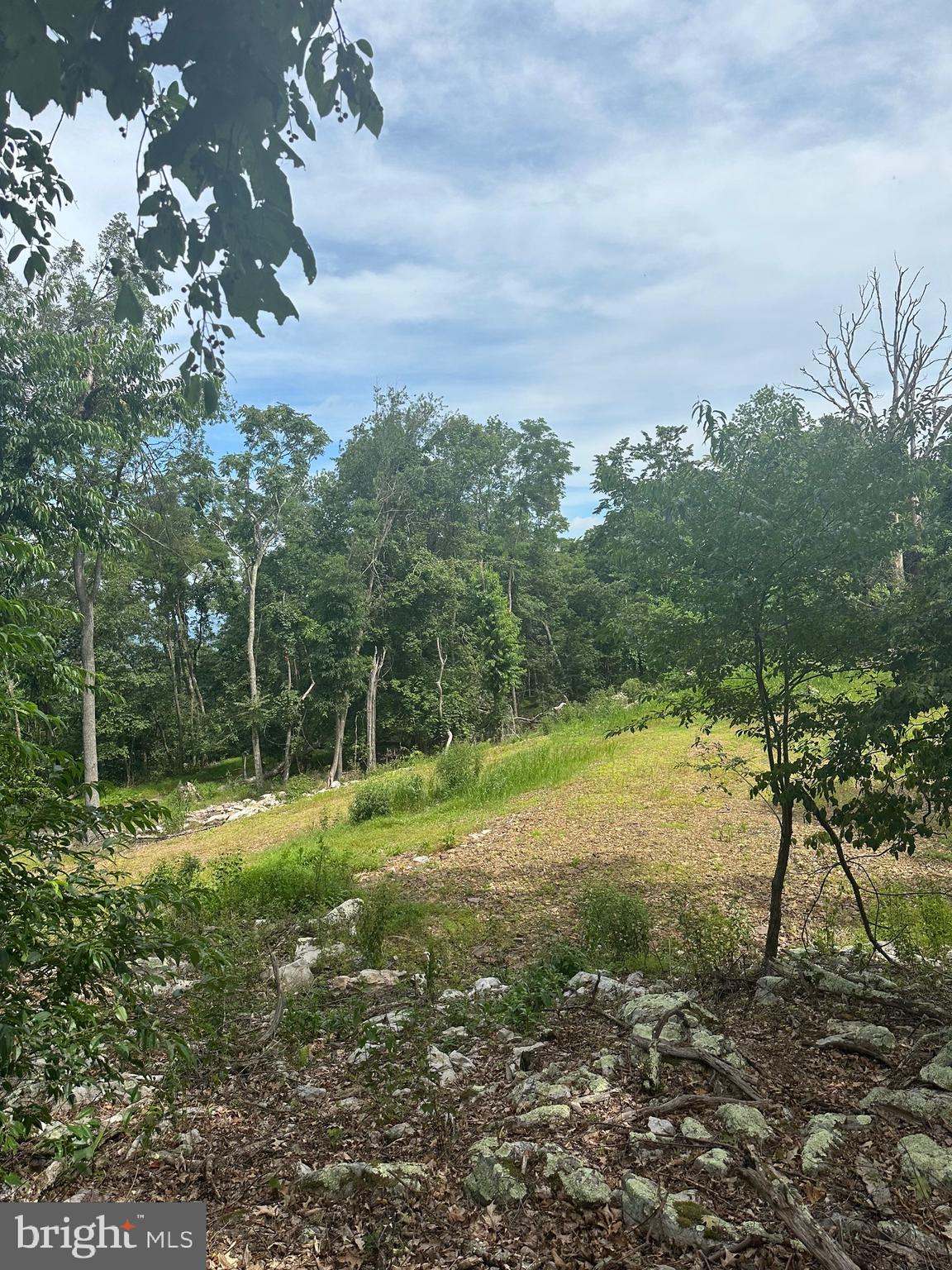 POTOMAC VALLEY VISTA - Land