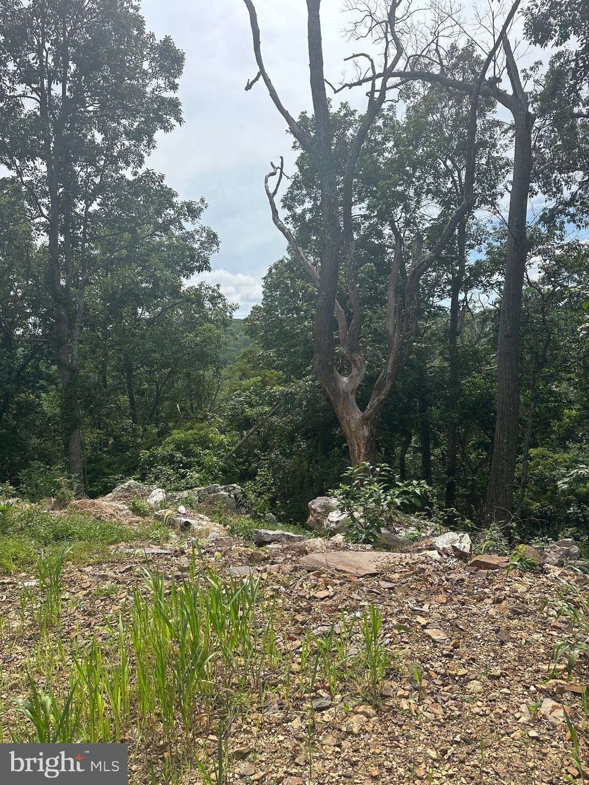 POTOMAC VALLEY VISTA - Land